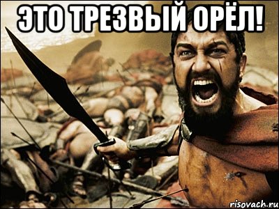 Это Трезвый Орёл! , Мем Это Спарта