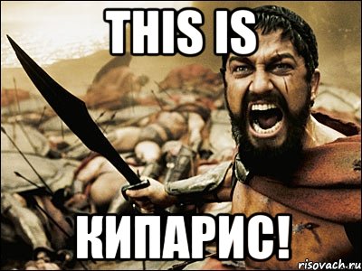 This is КИПАРИС!, Мем Это Спарта