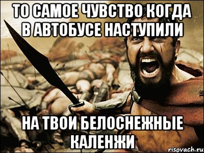 То самое чувство когда в автобусе наступили на твои белоснежные каленжи, Мем Это Спарта