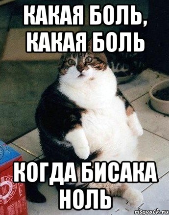 какая боль, какая боль когда бисака ноль