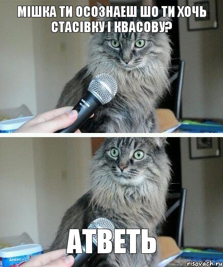 Мішка ти осознаеш шо ти хочь стасівку і квасову? Атветь, Комикс  кот с микрофоном