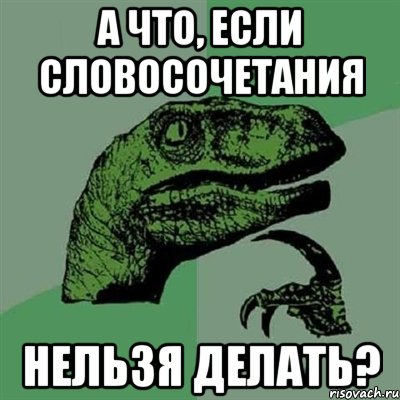 а что, если словосочетания нельзя делать?, Мем Филосораптор