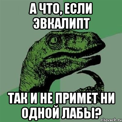 А ЧТО, ЕСЛИ ЭВКАЛИПТ ТАК И НЕ ПРИМЕТ НИ ОДНОЙ ЛАБЫ?, Мем Филосораптор