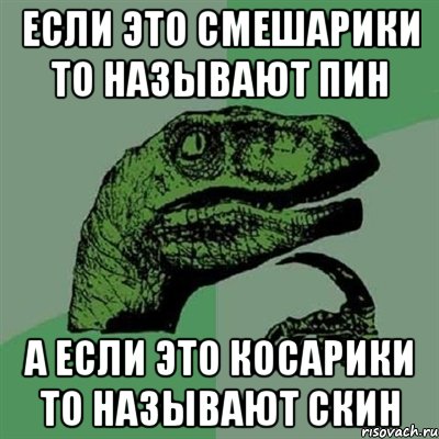 если это смешарики то называют пин а если это косарики то называют скин, Мем Филосораптор