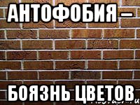 антофобия – боязнь цветов, Мем ук