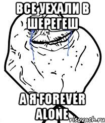 все уехали в шерегеш а я forever alone, Мем Forever Alone