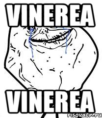 vinerea vinerea, Мем Forever Alone