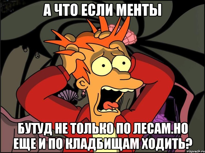 а что если менты бутуд не только по лесам.но еще и по кладбищам ходить?, Мем Фрай в панике