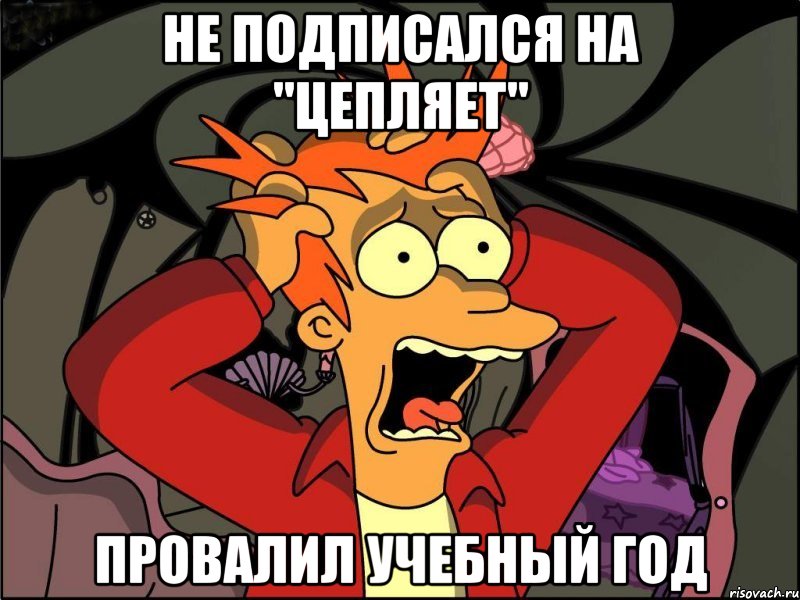 не подписался на "цепляет" провалил учебный год, Мем Фрай в панике