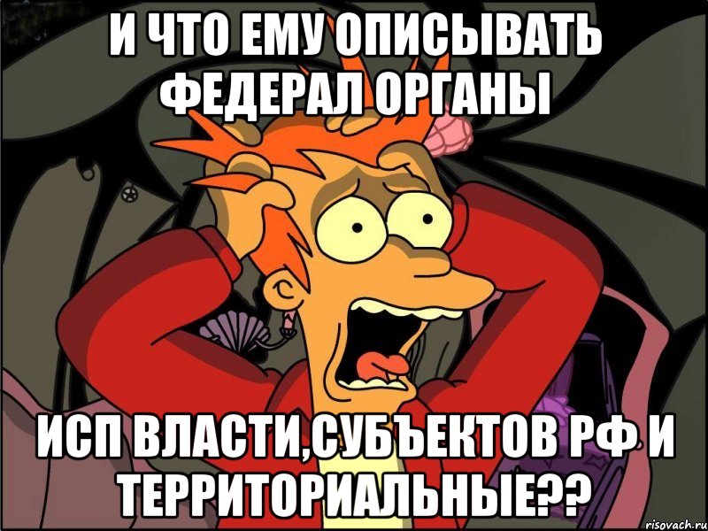 и что ему описывать федерал органы исп власти,субъектов рф и территориальные??, Мем Фрай в панике