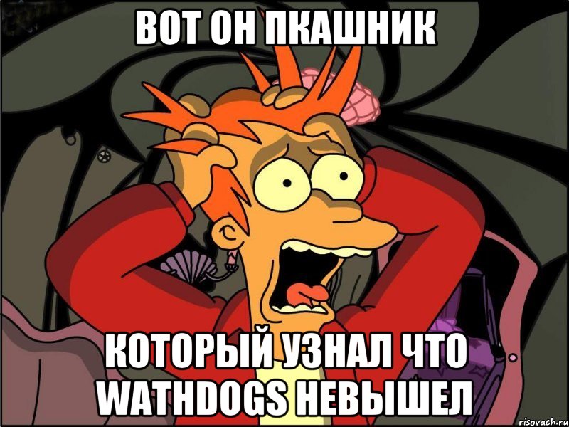 вот он пкашник который узнал что wathdogs невышел, Мем Фрай в панике