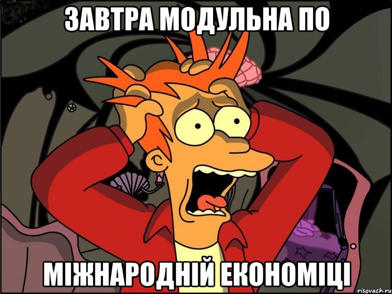 завтра модульна по міжнародній економіці, Мем Фрай в панике