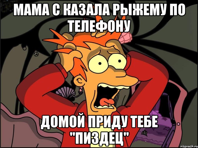 мама с казала рыжему по телефону домой приду тебе "пиздец", Мем Фрай в панике