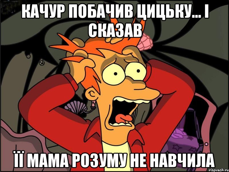 качур побачив цицьку... і сказав її мама розуму не навчила, Мем Фрай в панике