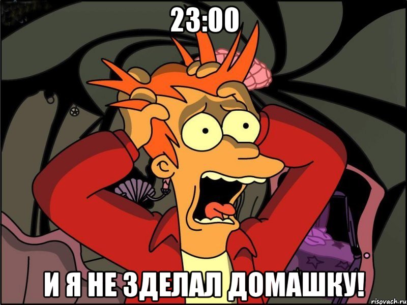 23:00 и я не зделал домашку!, Мем Фрай в панике