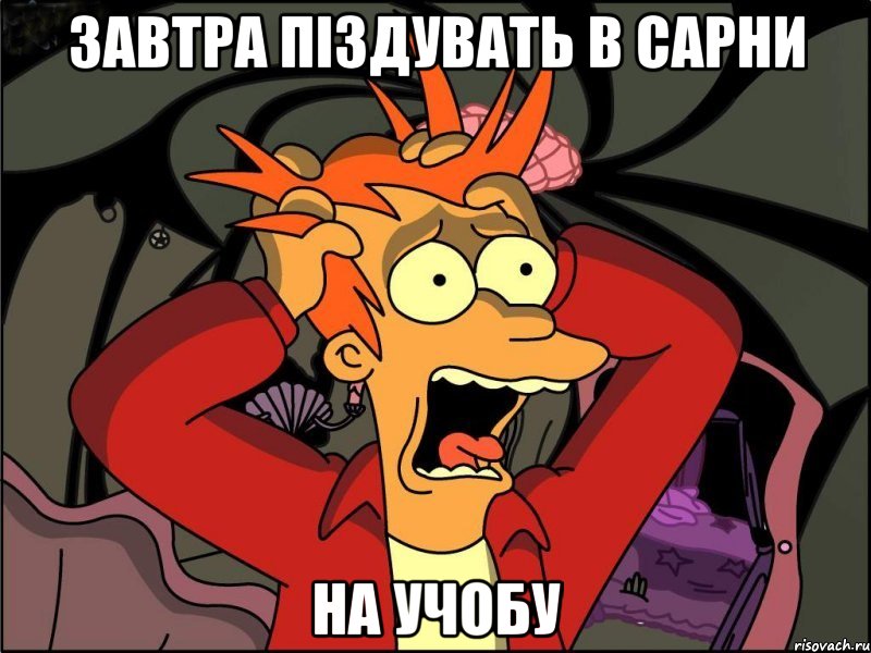 завтра піздувать в сарни на учобу, Мем Фрай в панике