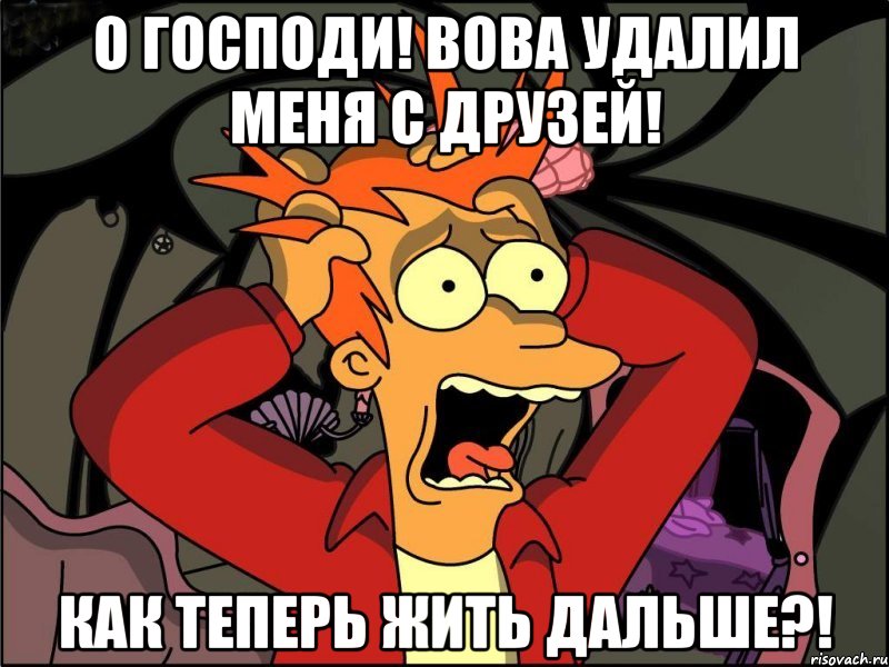 о Господи! Вова удалил меня с друзей! как теперь жить дальше?!, Мем Фрай в панике