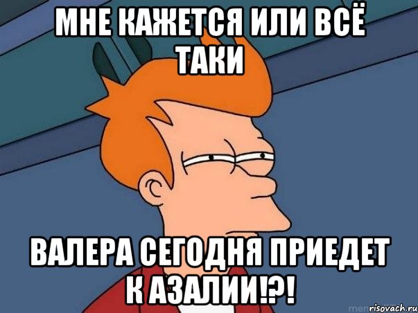 мне кажется или всё таки валера сегодня приедет к азалии!?!, Мем  Фрай (мне кажется или)