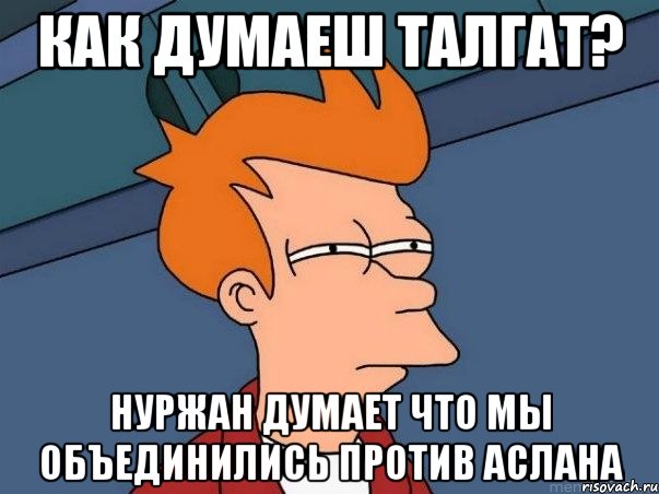 Как думаеш Талгат? Нуржан думает что мы объединились против Аслана, Мем  Фрай (мне кажется или)