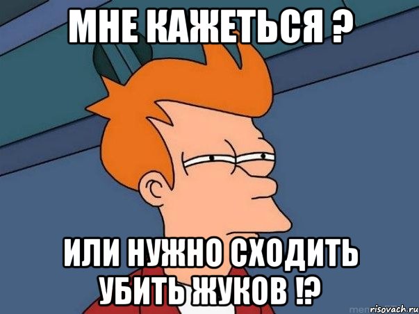 Мне кажеться ? или нужно сходить убить жуков !?, Мем  Фрай (мне кажется или)