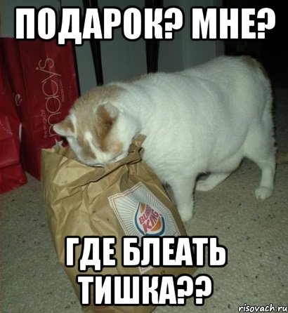А где мой подарок фото 361