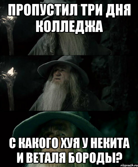 Пропустил три дня колледжа С какого хуя у Некита и Веталя бороды?, Комикс Гендальф заблудился