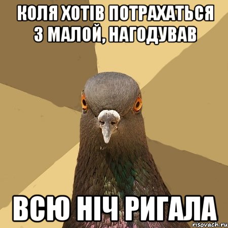 коля хотів потрахаться з малой, нагодував всю ніч ригала, Мем голубь