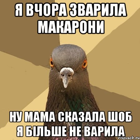 я вчора зварила макарони ну мама сказала шоб я більше не варила, Мем голубь