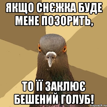 Якщо Снєжка буде мене позорить, то її заклює бешений голуб!, Мем голубь