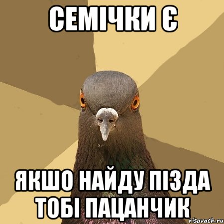 Семічки є Якшо найду пізда тобі пацанчик, Мем голубь