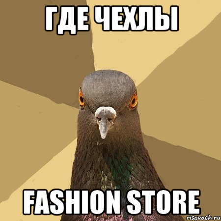 где чехлы Fashion Store, Мем голубь