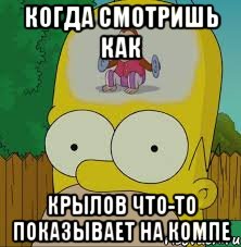 когда смотришь как крылов что-то показывает на компе, Мем  Гомер Симпсон