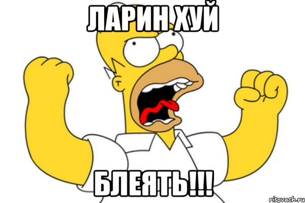 ларин хуй блеять!!!