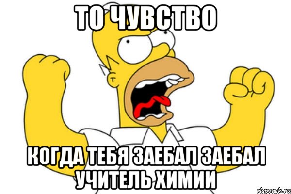 то чувство когда тебя заебал заебал учитель химии, Мем Разъяренный Гомер