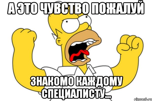 а это чувство пожалуй знакомо каждому специалисту..., Мем Разъяренный Гомер