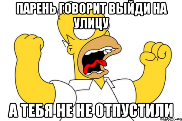 парень говорит выйди на улицу а тебя не не отпустили, Мем Разъяренный Гомер