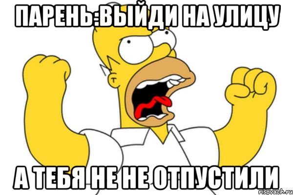 парень:выйди на улицу а тебя не не отпустили, Мем Разъяренный Гомер