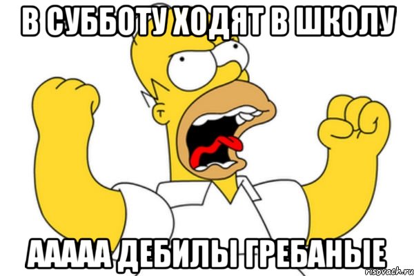 В субботу ходят в школу Ааааа дебилы гребаные, Мем Разъяренный Гомер