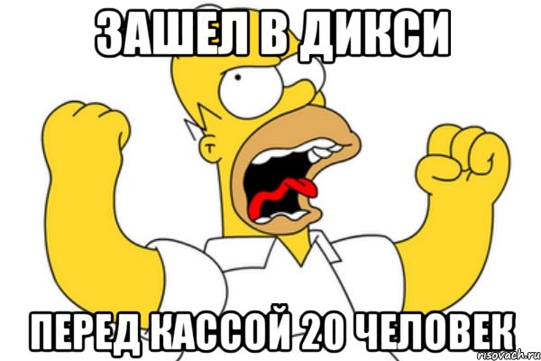 зашел в Дикси перед кассой 20 человек, Мем Разъяренный Гомер