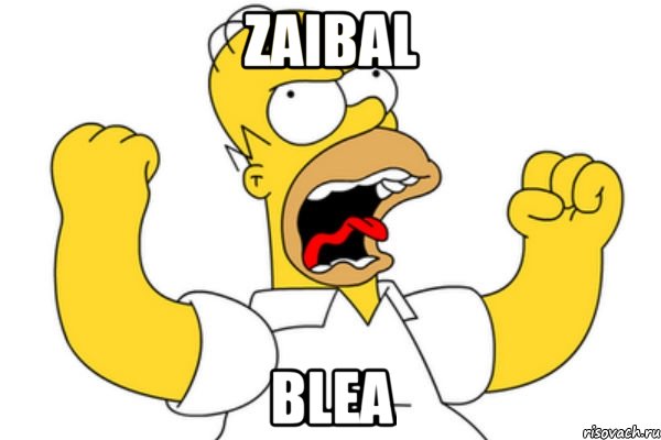 zaibal blea, Мем Разъяренный Гомер