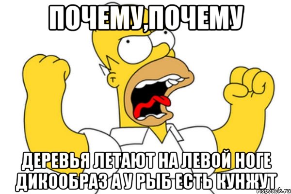 почему,почему деревья летают на левой ноге дикообраз а у рыб есть кунжут, Мем Разъяренный Гомер