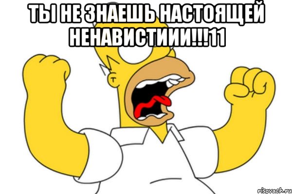 ТЫ НЕ ЗНАЕШЬ НАСТОЯЩЕЙ НЕНАВИСТИИИ!!!11 , Мем Разъяренный Гомер