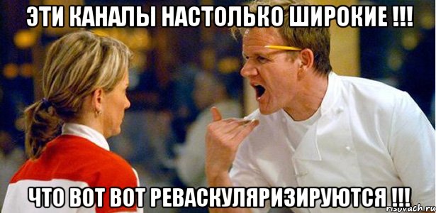 эти каналы настолько широкие !!! что вот вот реваскуляризируются !!!, Мем гордон рамзи