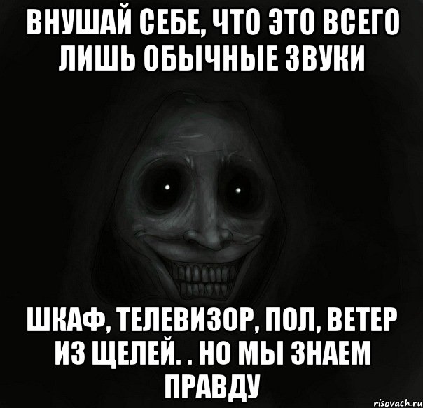 внушай себе, что это всего лишь обычные звуки шкаф, телевизор, пол, ветер из щелей. . но мы знаем правду, Мем Ночной гость