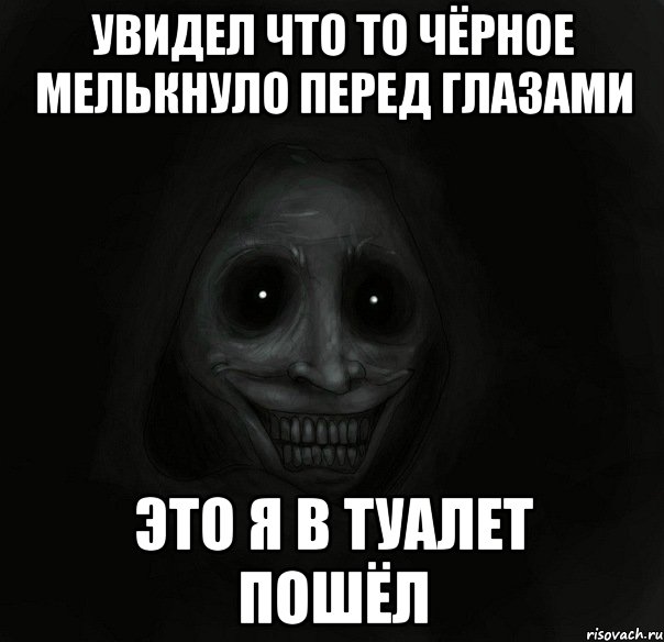 увидел что то чёрное мелькнуло перед глазами это я в туалет пошёл, Мем Ночной гость