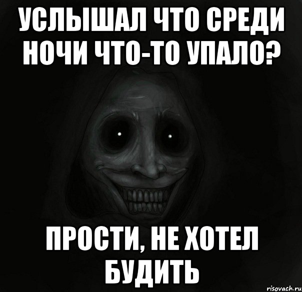 услышал что среди ночи что-то упало? прости, не хотел будить, Мем Ночной гость