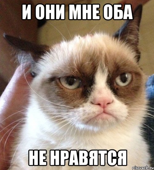 и они мне оба не нравятся