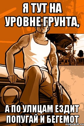 Я тут на уровне грунта, а по улицам ездит попугай и бегемот, Мем GTA