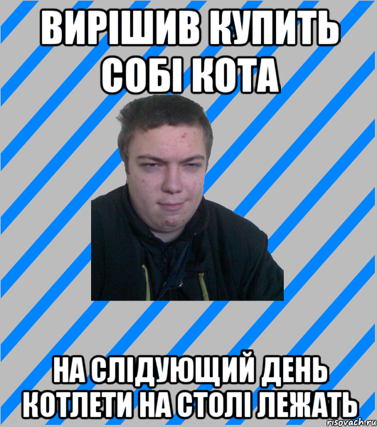 вирішив купить собі кота на слідующий день котлети на столі лежать