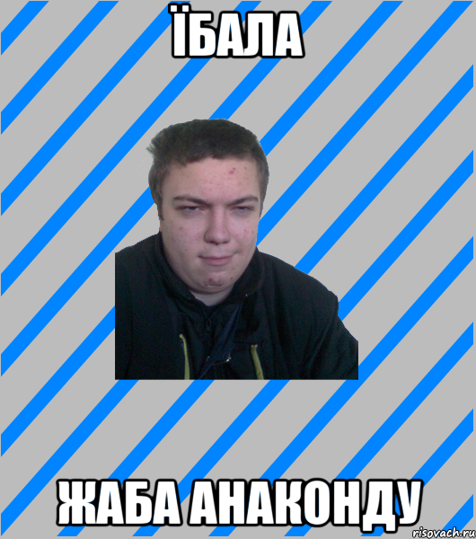 їбала жаба анаконду